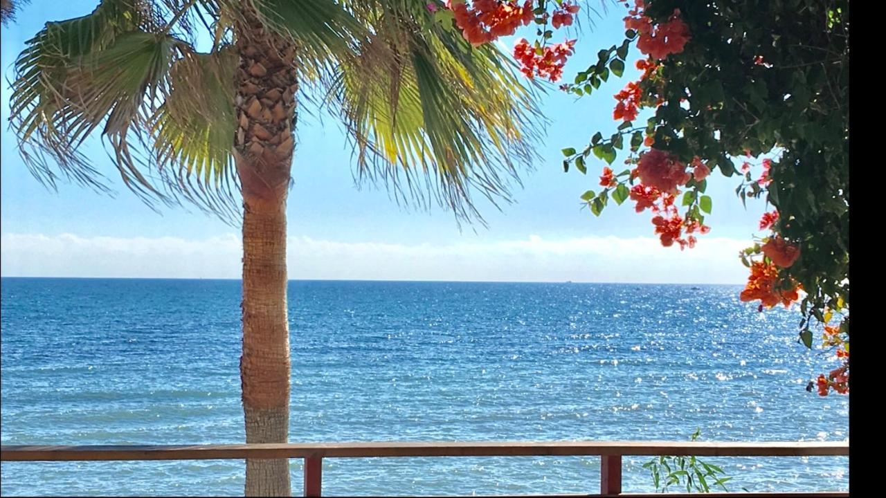 Mi Capricho 3-5 Beachfront- Apartment With Sea Views In Costa Del Sol Sitio de Calahonda Exterior photo